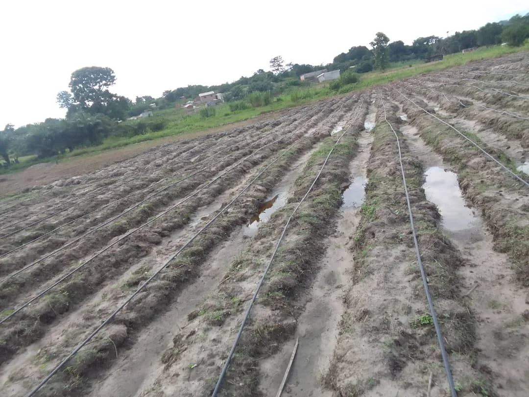 Aménagement rural périmètre irrigué